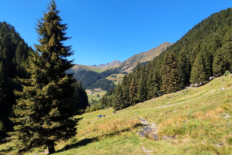 Mezzoldo